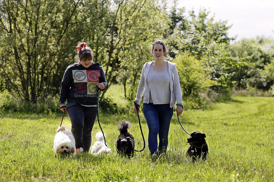 image of dog walking